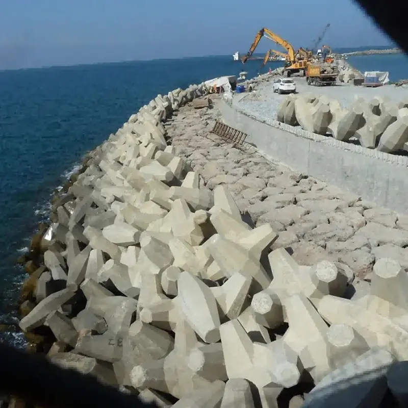 Dolos forskalling/form